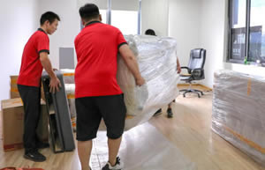 ���﹫˾���